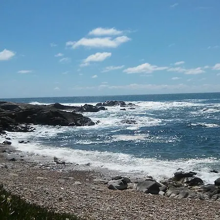 Pereira